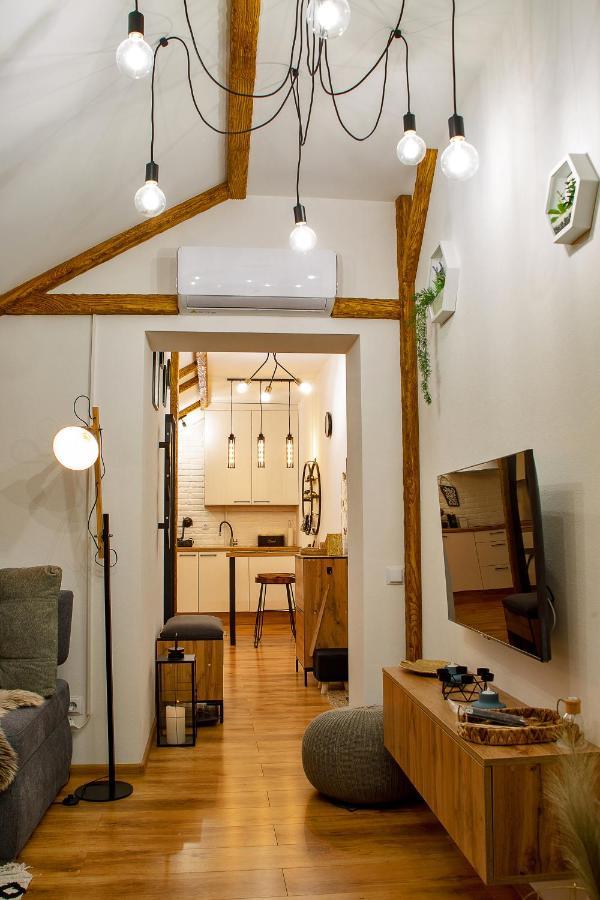 Old Town Loft Apartments カームヤネツィ・ポジーリシクィイ エクステリア 写真